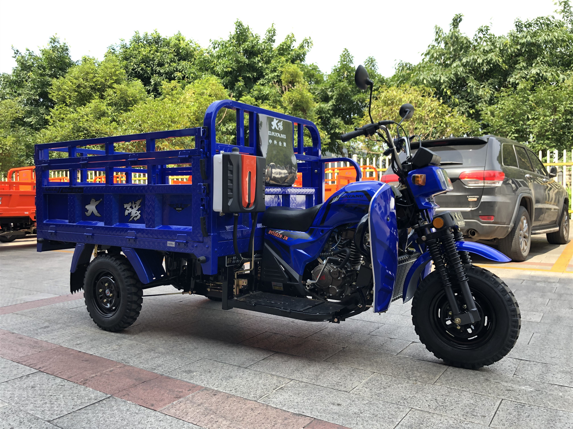 DAYANG Heavy Loading Tricycle 175CC/200CC/250CC Q2 Cargo Tricycles for Cargo Delivery