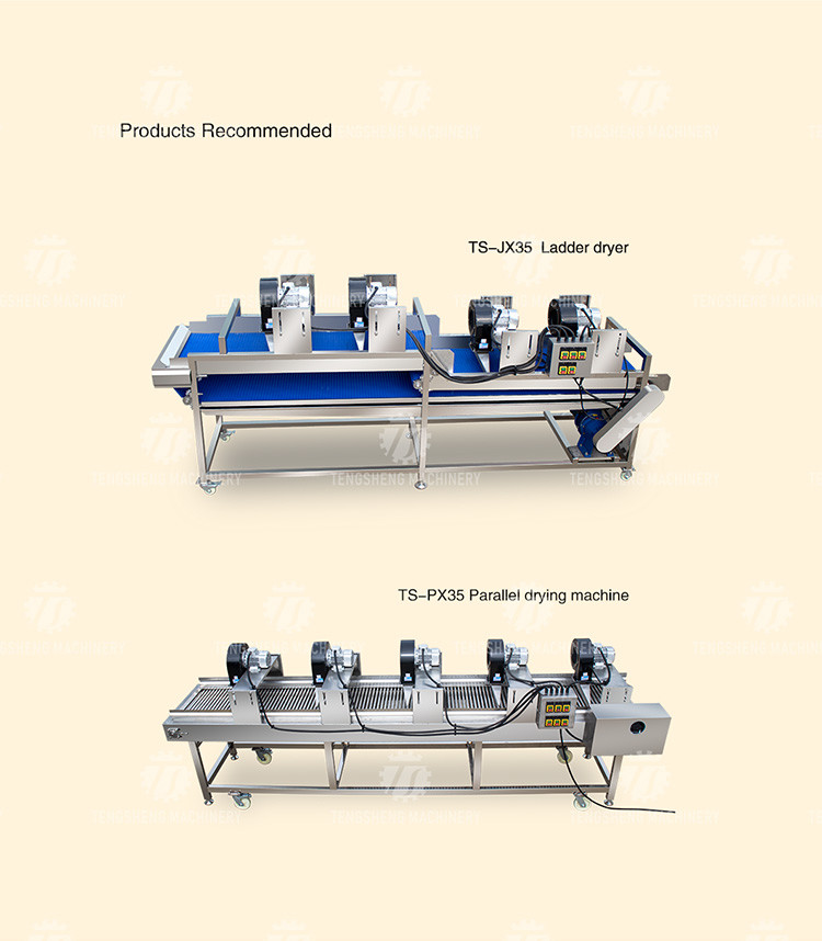 350KG Vegetable drain air drying machine stainless steel fruit and vegetable air drying complete equipment parallel type