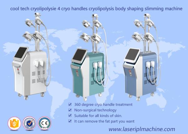Body Shaping Cryolipolysis Vacuum Machine , 4 Handles Cryolipolysis Fat Freeze