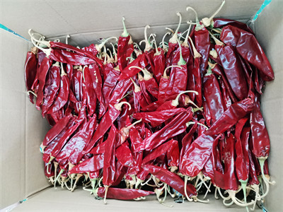 Dehydrated 15% Moisture Red Guajillo Chili Pepper Sweet Cherry