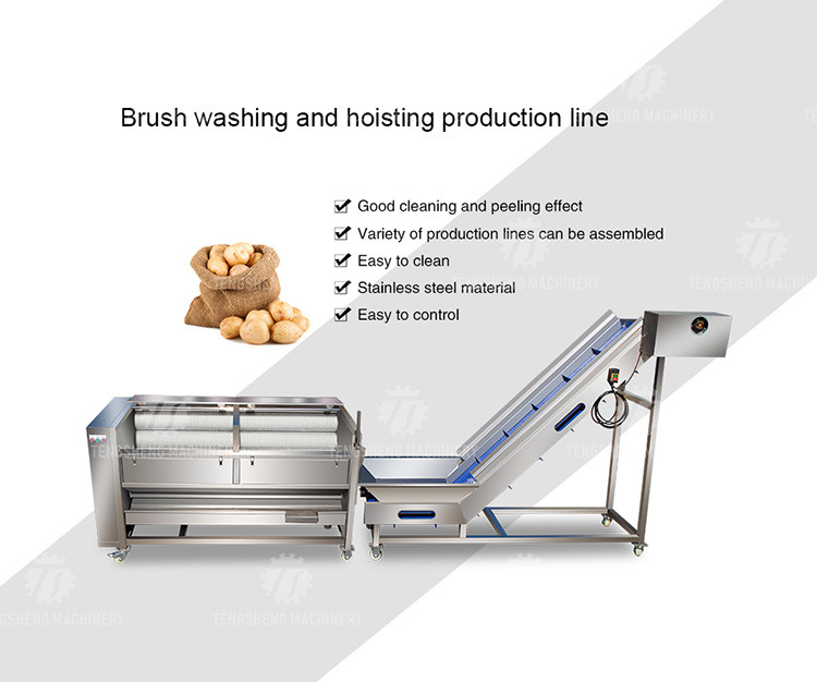 Stainless Steel Fruit And Vegetable Processing Line Brush Cleaning And Hoisting