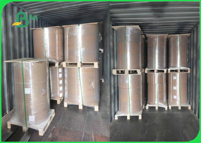 250gsm + 12g PE Brown Kraft Paper For Fruit Package Good Folding Resistance