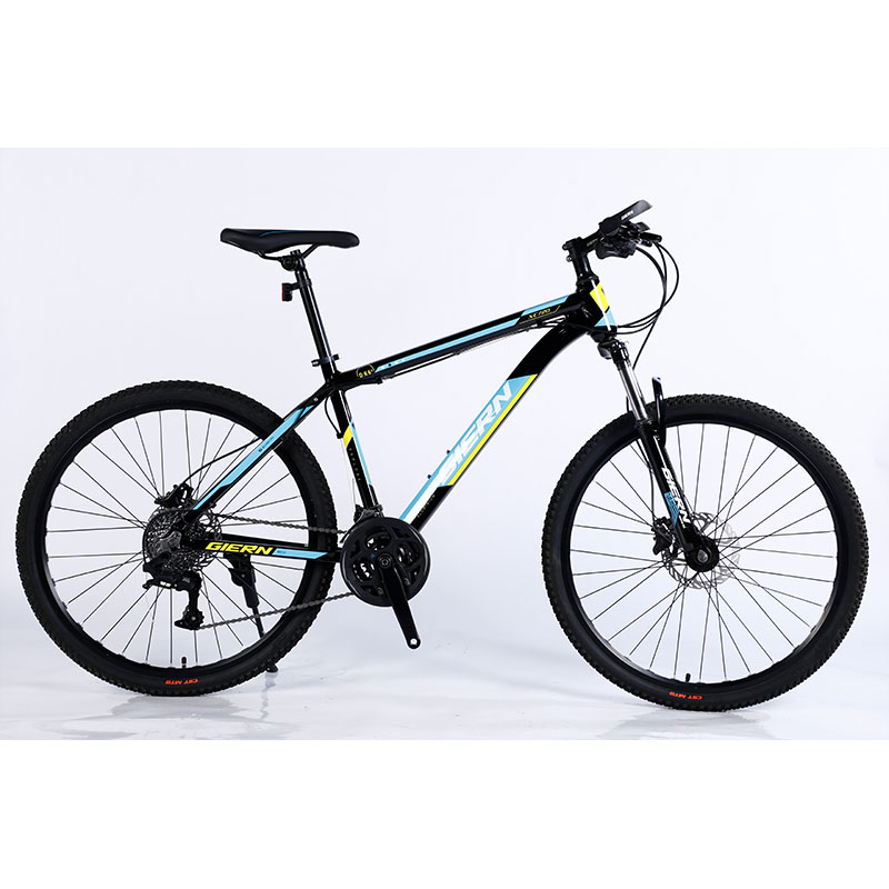 Double Wall Rim Cnc Lady Mountain Bike for Smart Riding Yinxing Hydrallic Disc Brake