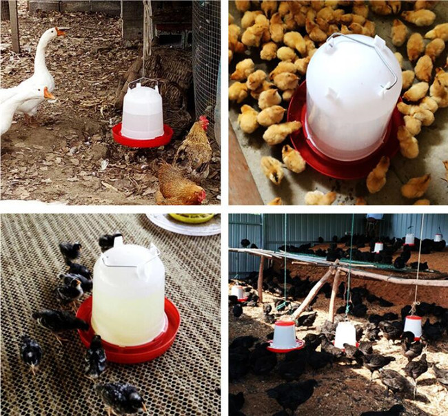 HDPE Poultry Water Drinkers 15KG Automatic Water Feeder For Chickens