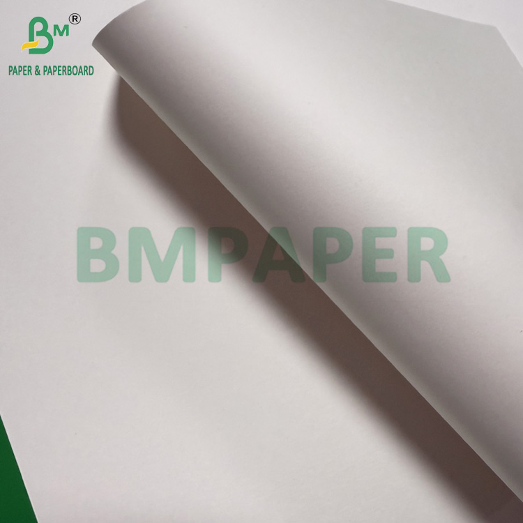 240g + 18g PE Coated Cup Stock Paper Matte Finish One Side Custom Roll Wide 430mm - 2100mm