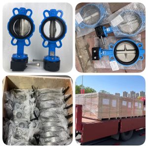 3" 4" 5" Soft Seal Butterfly Valve Through DN40-DN300 Handle Type Manual