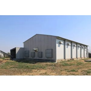Pre Engineered Steel Chicken House Q355B Sqaure Tube And H Section