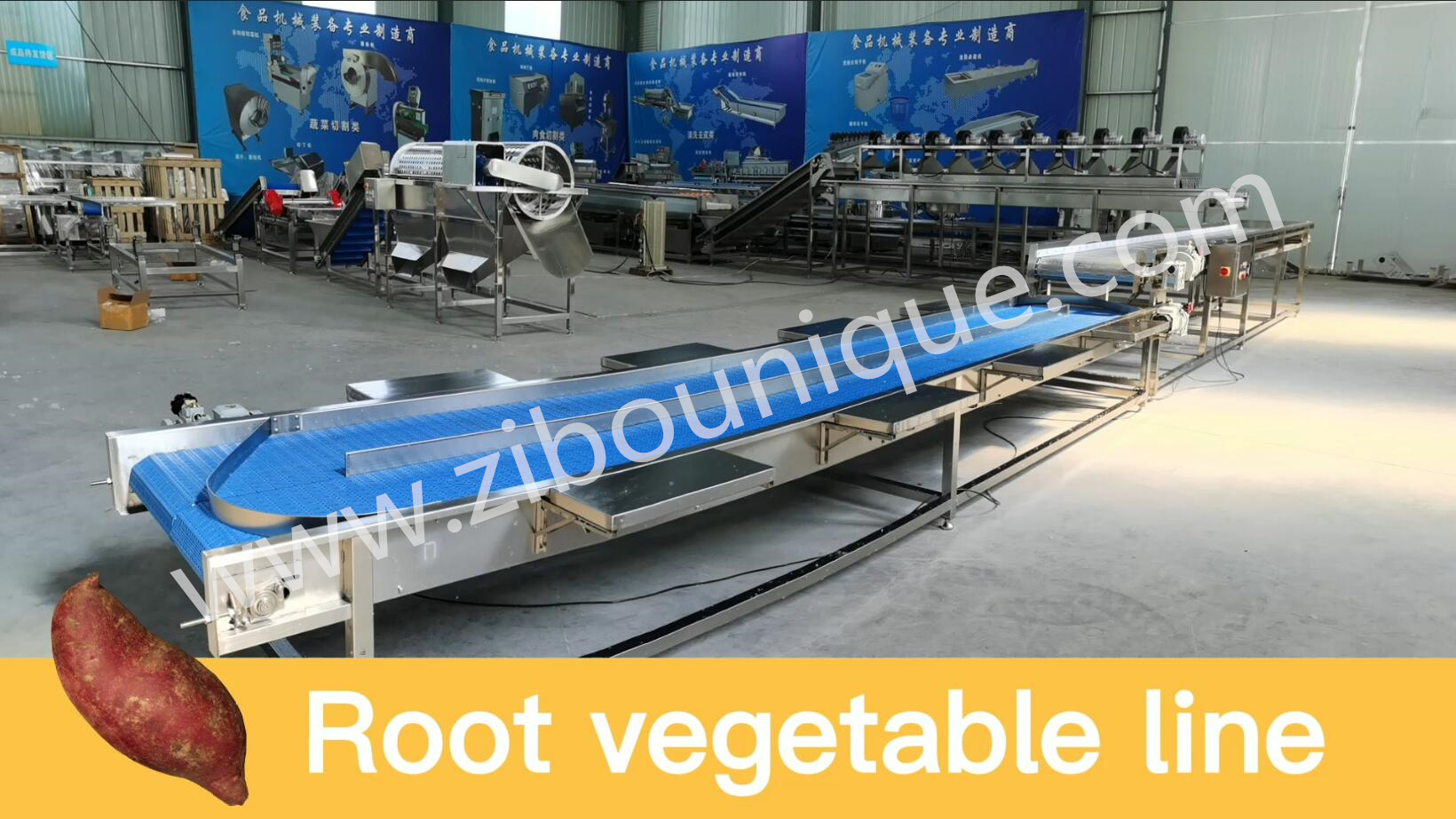 Cut Leafy Vegetables Industrial Automatic Cabbage Slicer Coleslaw Kimchi Cutting Machine