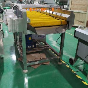  Brush Type Industrial Vegetable Washer , Carrot / Apple Washing Machine 500-2000kg/H Output Manufactures
