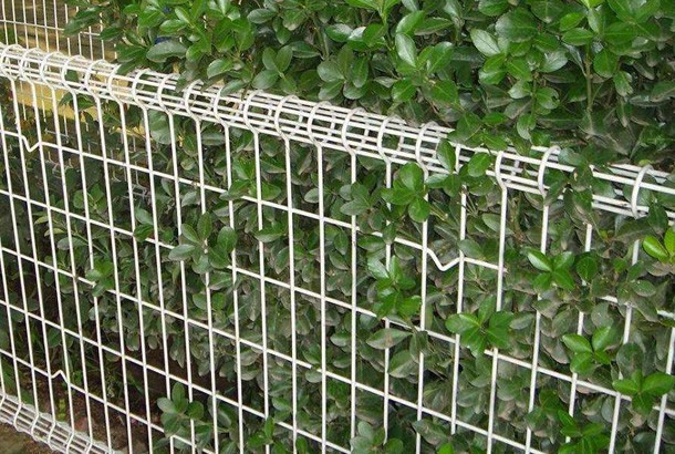 high-quality powder coated double loop wire mesh metal garden fence