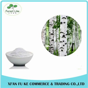 Factory Supply 98% Betulin Powder White Birch Bark Extract