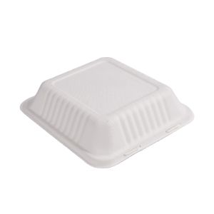 Compostable Biodegradable Packing disposable bagasse Buger pulp paper box