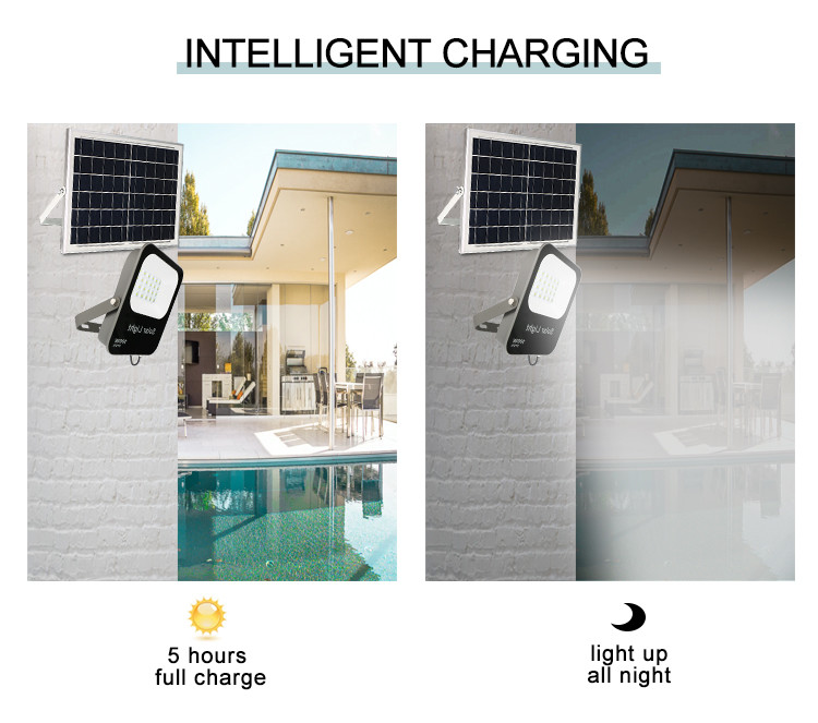 167.5*194.5*35mm 30W 5kg Led Solar Floodlight
