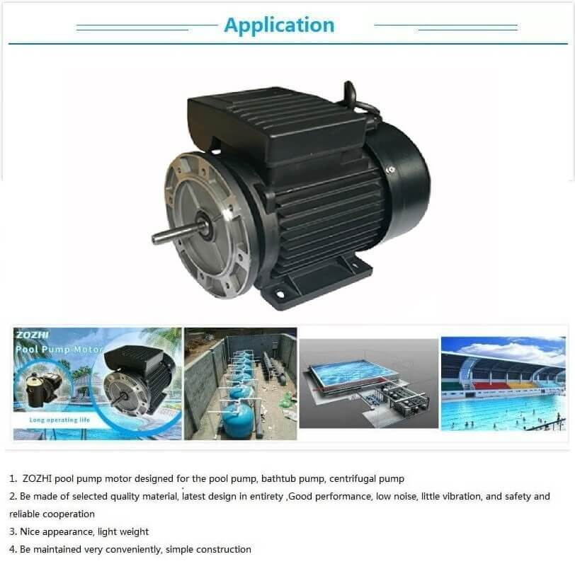 single phase induction motor