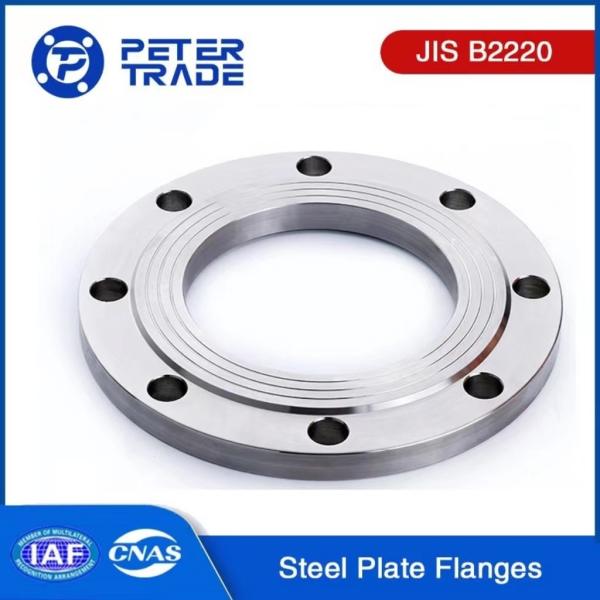 10A to 900A JIS B2220 Carbon Steel A105 and Stainless Steel 304 316 Plate