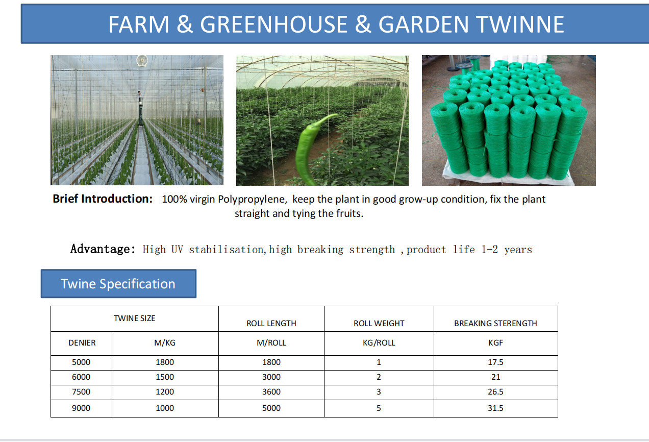 Anti UV Agriculture Tomato Twine Polypropylene Twisted Thread White 1g/M 2-5kg/Roll