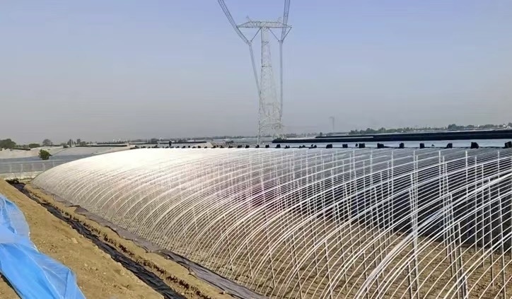Hydroponic Seeding Breening Greenhouse