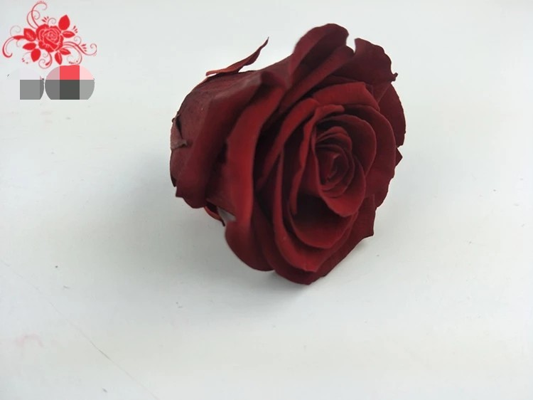 Japanese preserved red rose flowers for wedding flower stands Natural Fresh flower rose