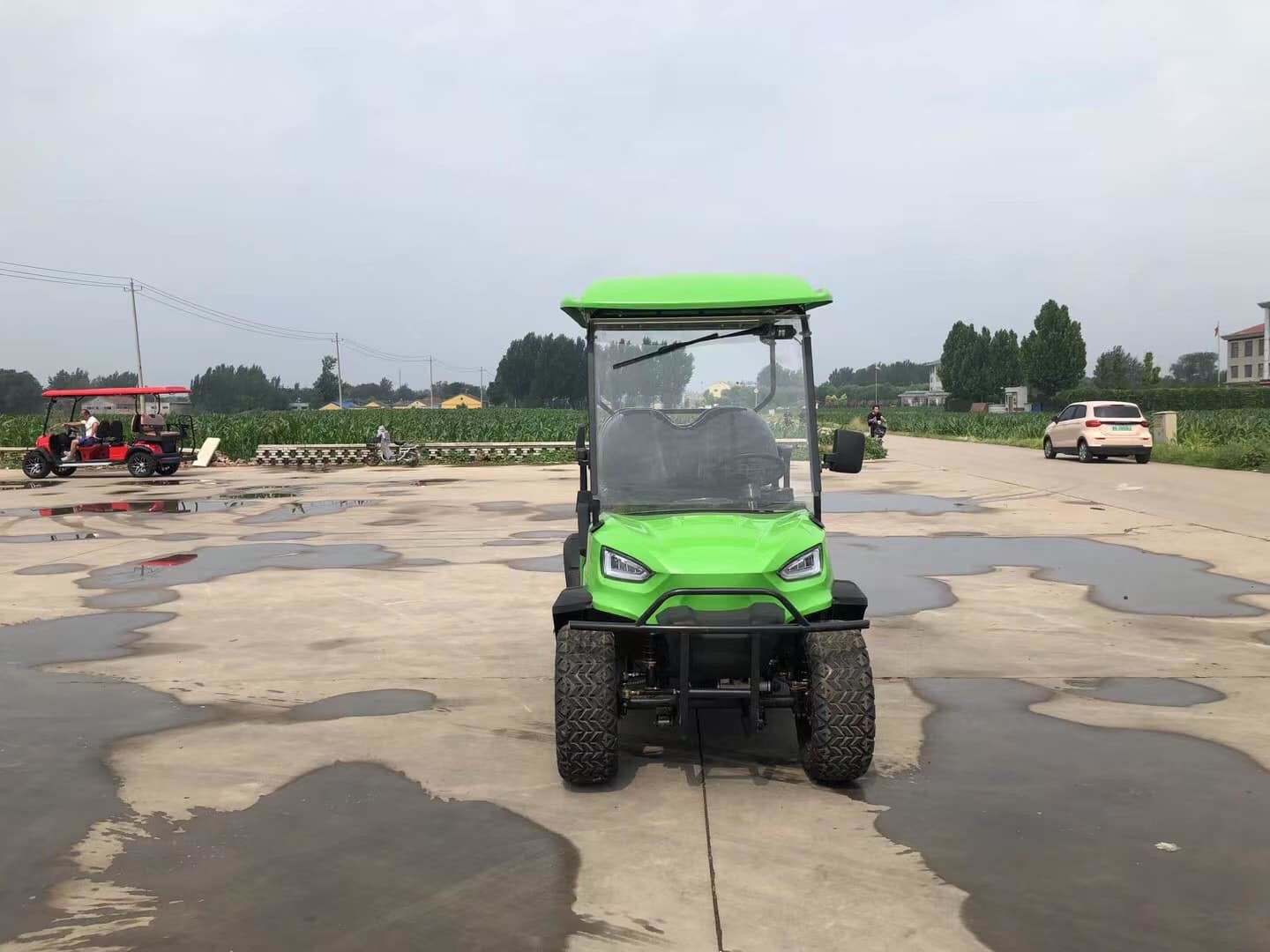 4KW Motor 48V 150AH Lithium Ion Battery 2+2 Seater Golf Cart Personal Customized