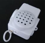 Customized voice Recordable Music Box for gifts passed RoHS, CE certificate
