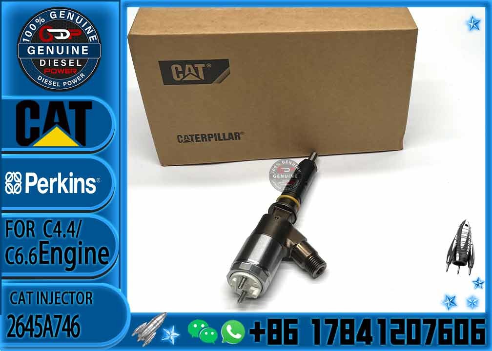 Diesel Common Rail Injector 2645A746 10R-7672 2645A718 10R-7673 10R-7676 2645A734 10R-7674 10R-7668 10R-7938 10R-7939