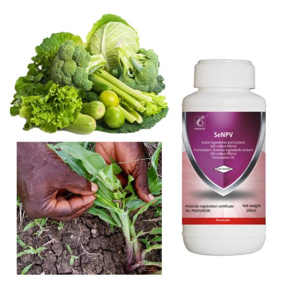Biological Whitefly Tomato Insecticide Pure SeNPV Organic Pesticide Pest killing