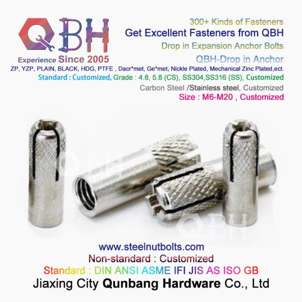 QBH GB /T 22795 (NP) - 2008 M6-M20 SS304 SS316 Stainless Steel Drop In Expansion