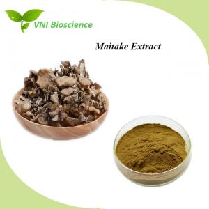 China Food Maitake Mushroom Extract Powder Brown Griflola Frondosa Extract on sale