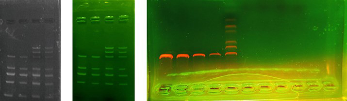 UV Transilluminator Gel Electrophoresis 470nm Ultraslim Blue Led Illuminator