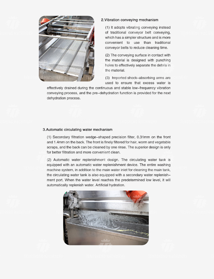 1000KG/H Double layer spray leaf vegetable cleaning machine large bubble eddy current vegetable cleaning machine