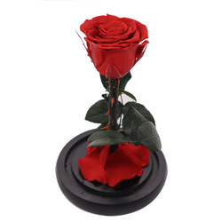 Fashion Dried Long Stem Rose Flower In Glass With Beautiful Appearance