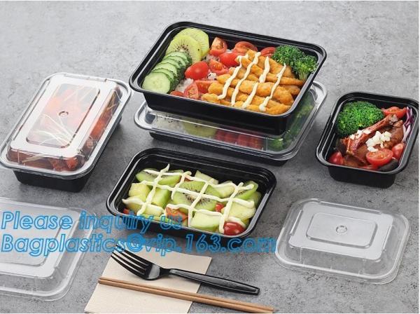 Meal Prep Containers Free Sample Bento Lunch Box Biodegradable Food Container