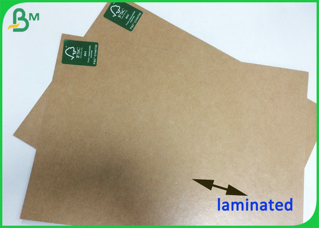 300gr 350gr 400gr Grease proof Double Side Polyester Paper Roll For Lunch Box