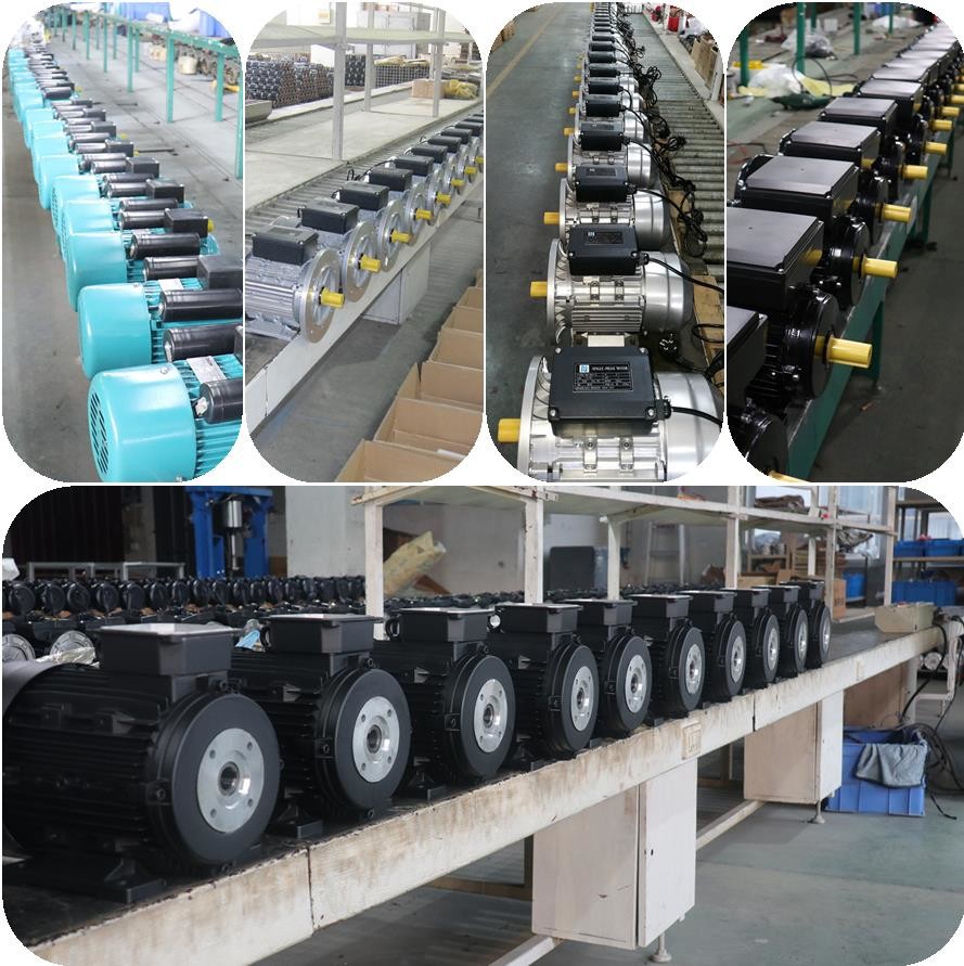 Low Voltage IEC Solid Shaft Motor For High Pressure Washer Induction