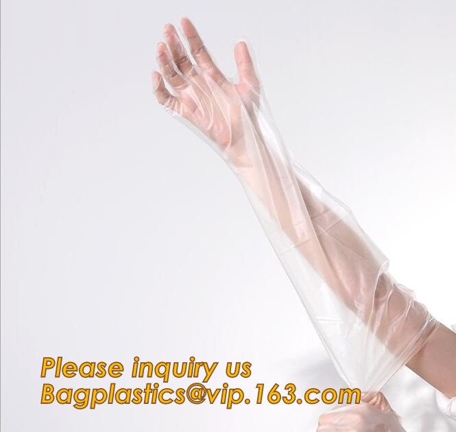 Disposal sharp container for store and dispose of medical waste,Cheap Disposable Plastic Medical Sharp Safe Container 1L