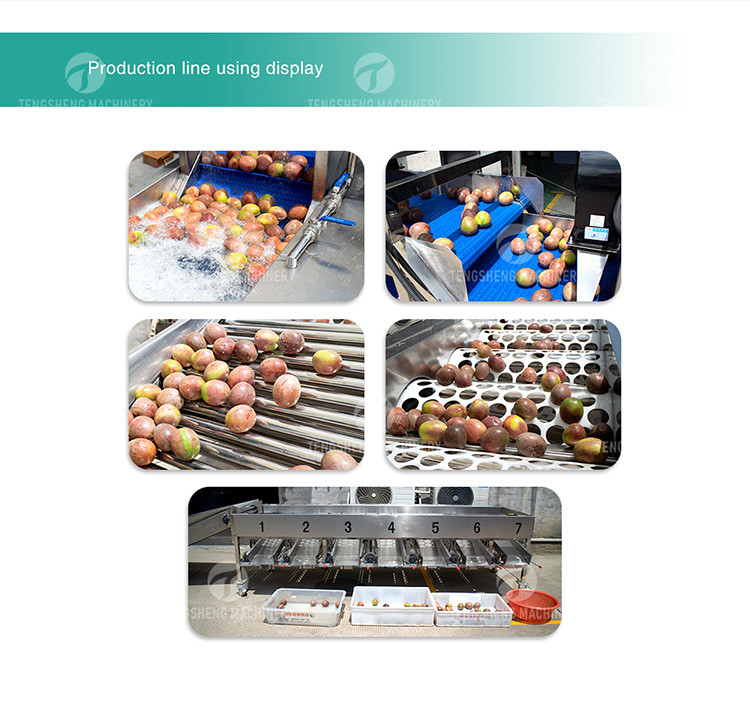 Tengsheng High Voltage Spraying Fruit And Vegetable Processing Line Industrial residual degradation