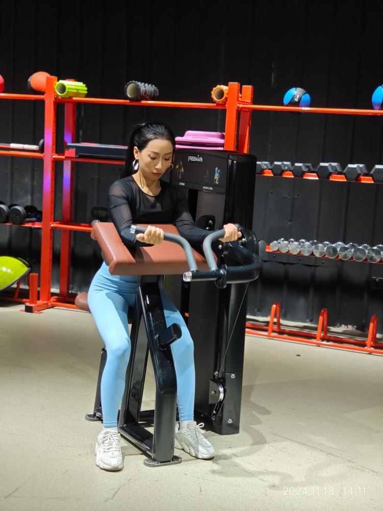 Seated Bicep Curl Pin Loaded Machine Has Self-aligning Handles Commercial Pin Loaded Strength Gym Equipment