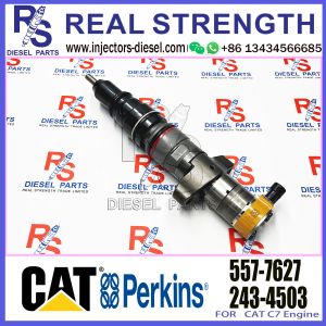 C-A-T E324D E325D E329D Excavator Fuel Injector C7 C9 Engine 387-9427 557-7627