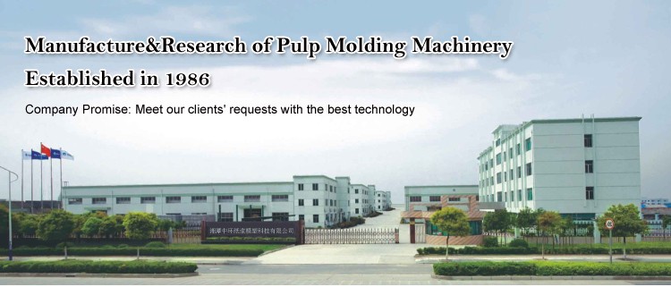 Fully Automatic Pulp Molding Tableware Machine 380v Disposable Tableware Making