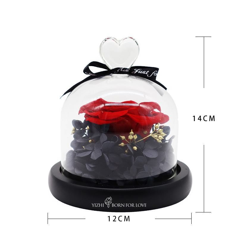 Beautiful Colorful Gifts Preserved Flower Glass Dome Indor Decoration