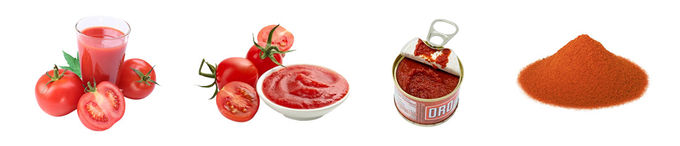 380V Tomato Paste Production Line 60t/D Turnkey Production Line