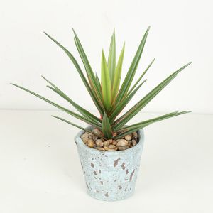  High Imitation Flexible Glue Agave Artificial Bonsai Tree Eco - Friendly Manufactures