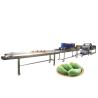 Buy cheap Hot selling Factory Direct Sales Conveyor Belt Vegetable Washer by Huafood from wholesalers