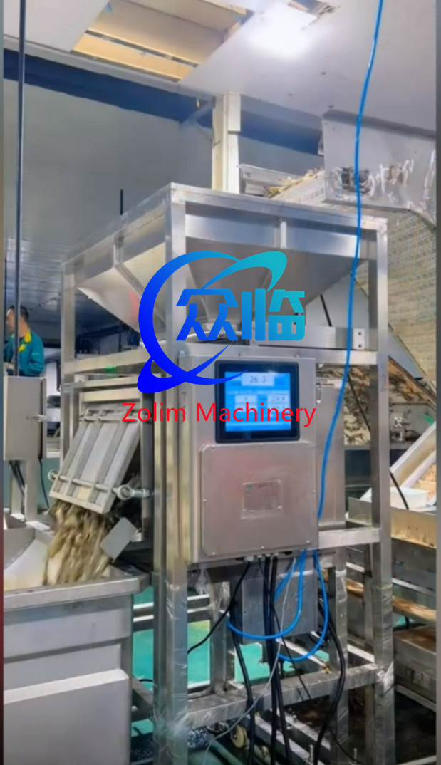 Stainless Steel 304 Automatic Raw Material Weigher, Automatic Fish Weigher