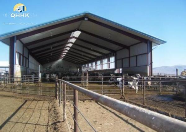 Prefabricated Agricultural Steel Buildings Concrete Foundation Steel Structure
