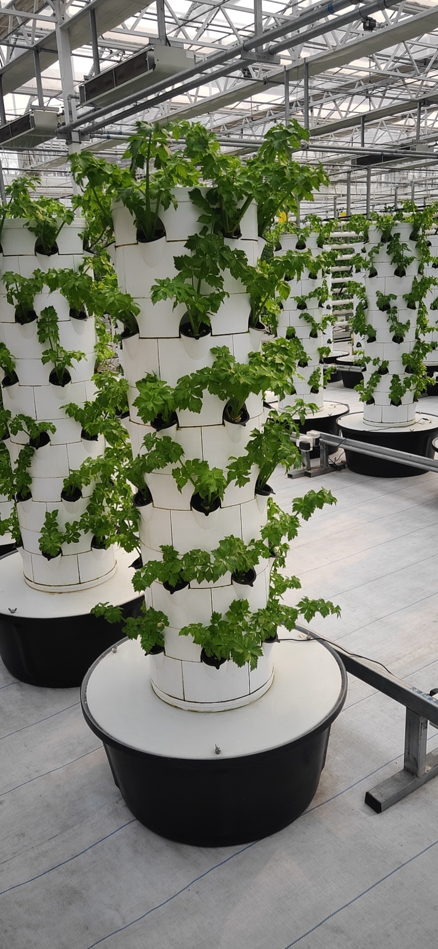 Vertical Hydroponic Aeroponic Growtower Sustainable Hydroponic System