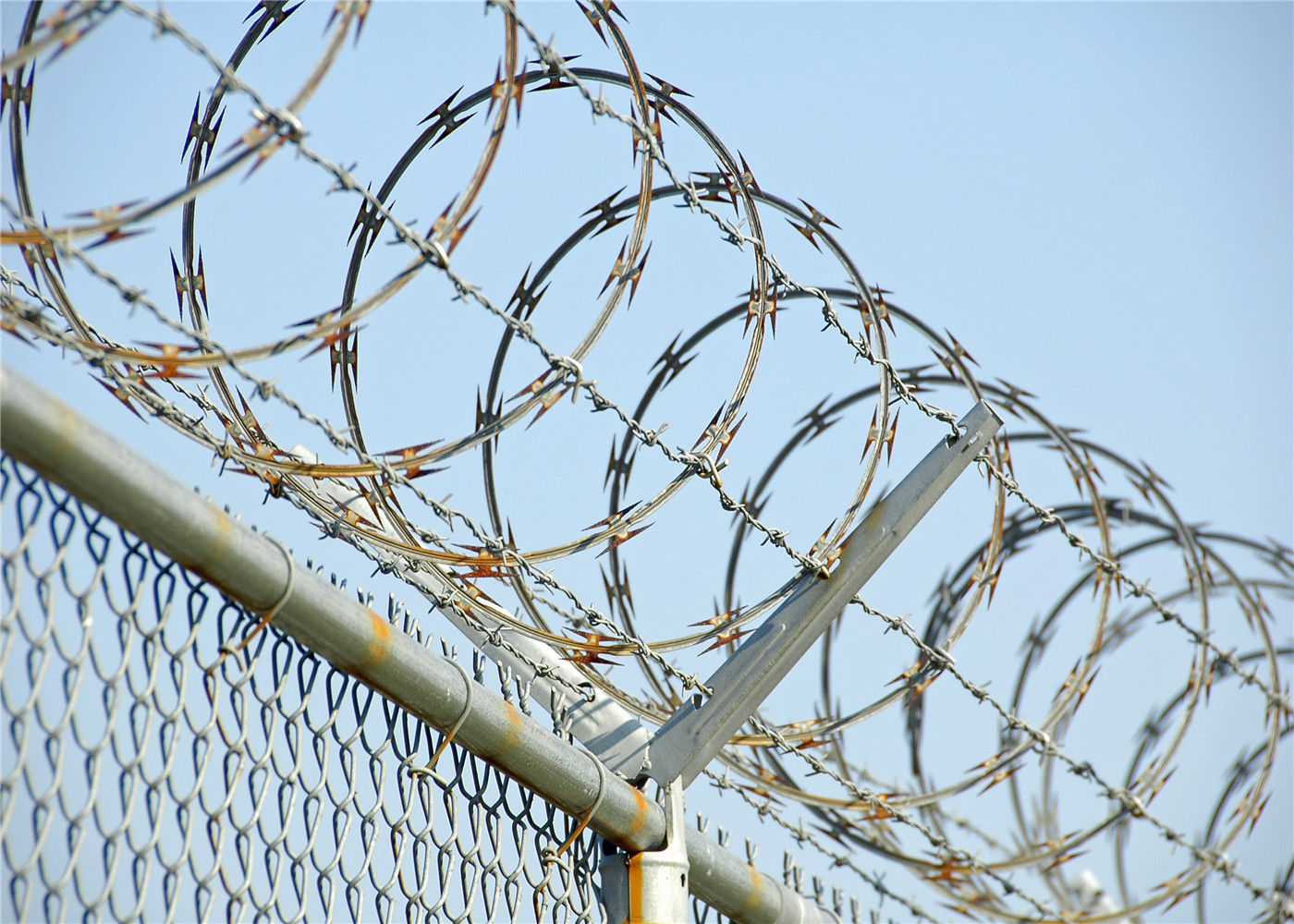 Galvanized chain link fence and pvc coated chain link fence