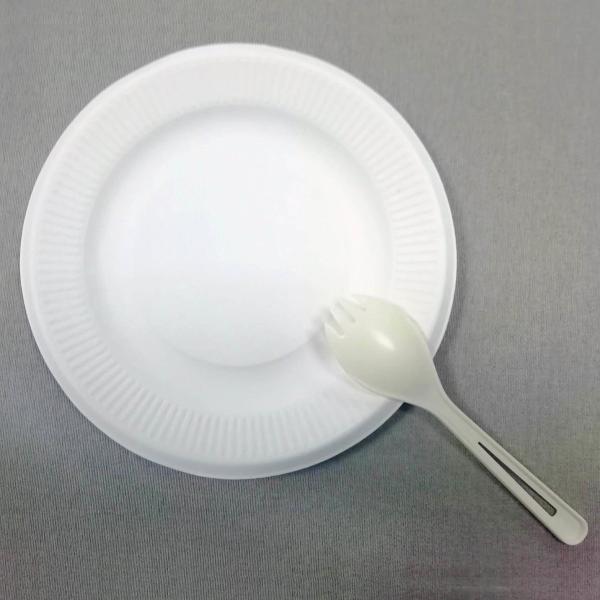 5 inch sugarcane compostable plates Natural plant fibers Plate, eu standard food