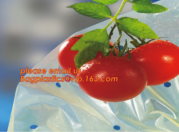 Multi-Span Plastic Film Cover Natural Ventilation Vegetable Greenhouse,Greenhouse Kits Plastic Greenhouse 200 micron gre