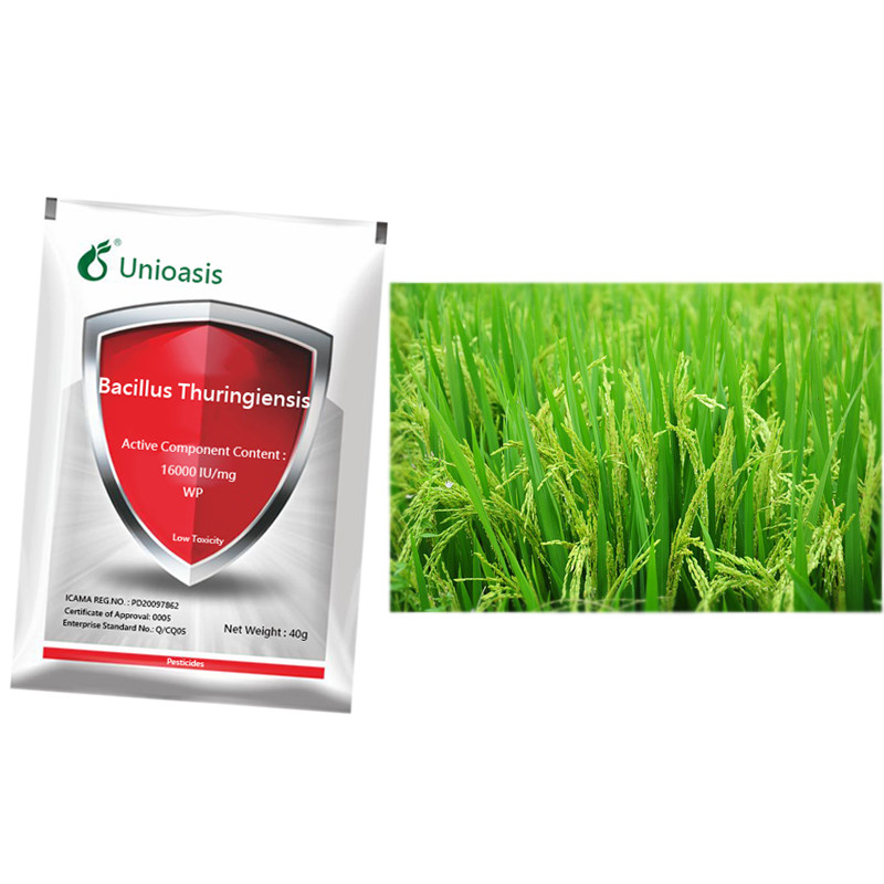 OEM Biological Pesticide BT Bacillus Thuringiensis Squash Vine Borer